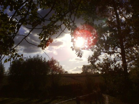 Sunny Day