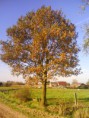 /album/fotogalerij/dsc00003-jpg/