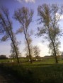 /album/fotogalerij/dsc00378-jpg/