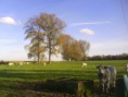 /album/fotogalerij/dsc00379-jpg/