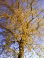/album/fotogalerij/dsc00384-jpg/