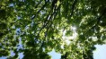 /album/fotogalerij/wp-20140417-001-jpg/