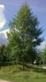 /album/fotogalerij/wp-20140814-022-jpg/